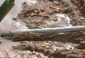 918博天堂(中国区)官方网站