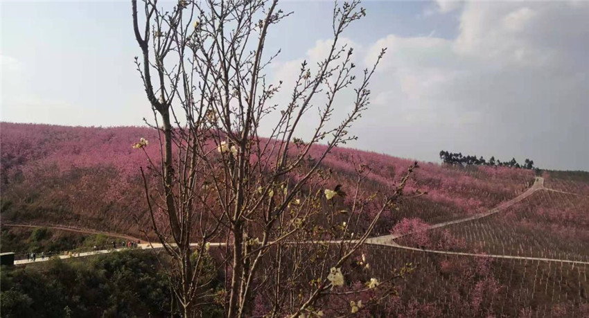 918博天堂(中国区)官方网站