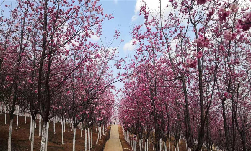 918博天堂(中国区)官方网站